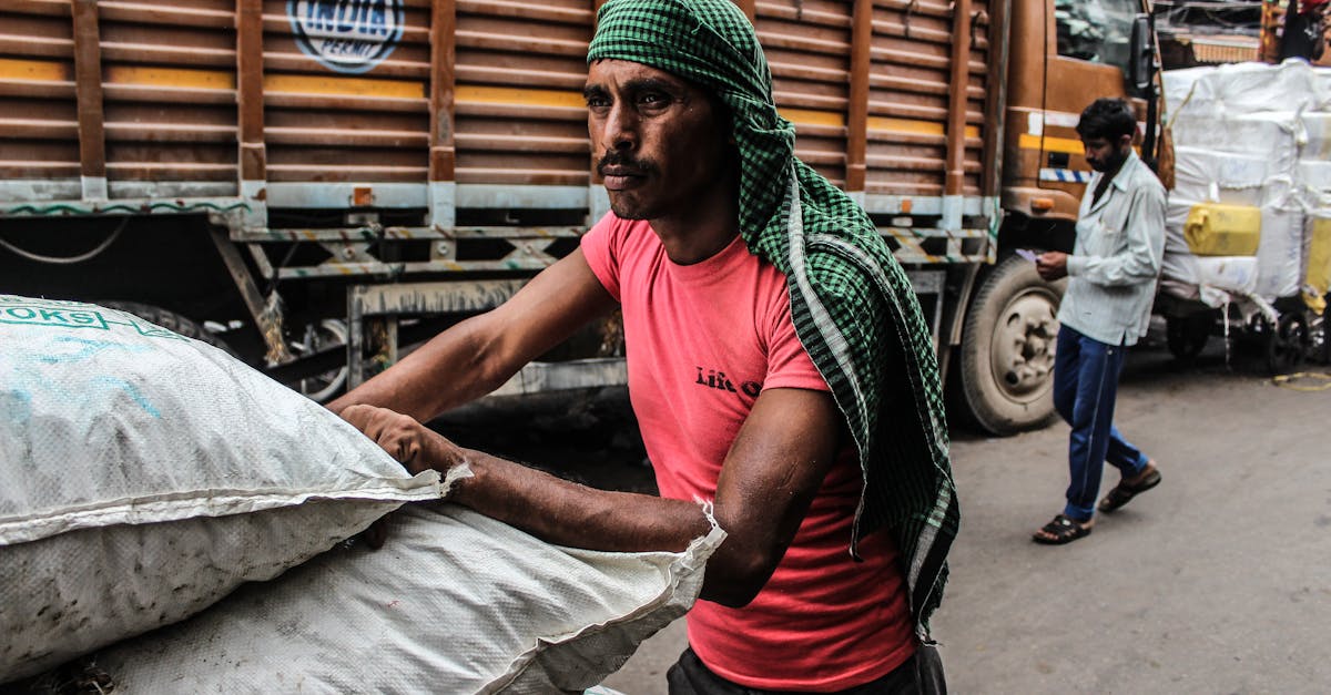 découvrez les tendances du marché du travail : analyse des évolutions des emplois, des compétences demandées et des opportunités émergentes. restez informé pour mieux naviguer dans le monde professionnel en constante mutation.